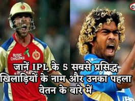 जानें IPL के 5 सबसे प्रसिद्ध खिलाड़ियों के नाम और उनका पहला वेतन के बारे में 5 oversease player ipl salary